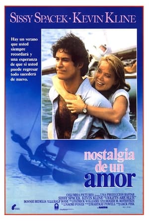 Poster Nostalgia de un amor 1986