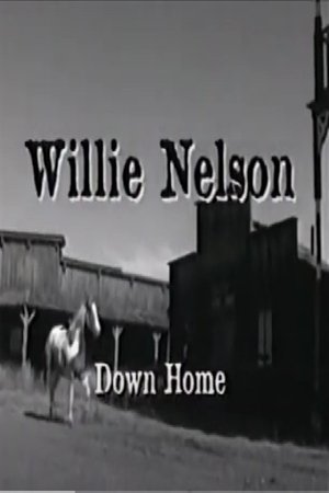 Póster oficial de la película Willie Nelson: Down Home