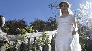 Pride & Prejudice ( 2005 )