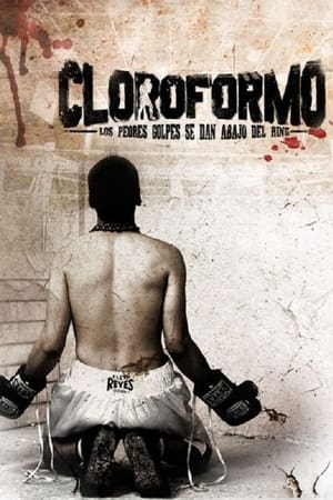 Cloroformmo 2012