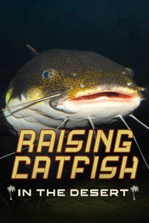 Raising Catfish in the Desert