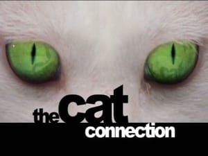 The Cat Connection