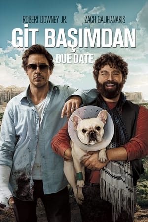 Poster Git Başımdan 2010