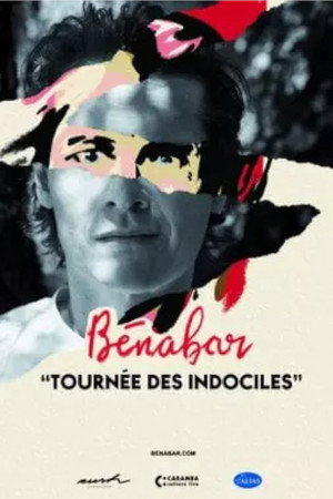 Bénabar - Tournée des indociles 3
