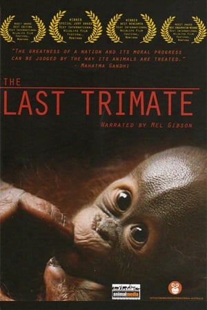 Poster The Last Trimate 2008