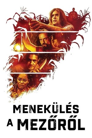 Image Menekülés a mezőről