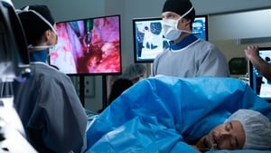 Anatomía según Grey: 15×21 – Latino HD 1080p – Online