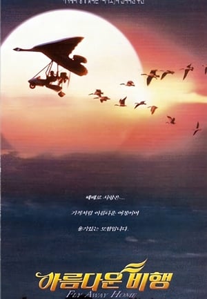 Poster 아름다운 비행 1996