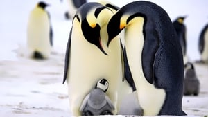 Penguins: Spy in the Huddle