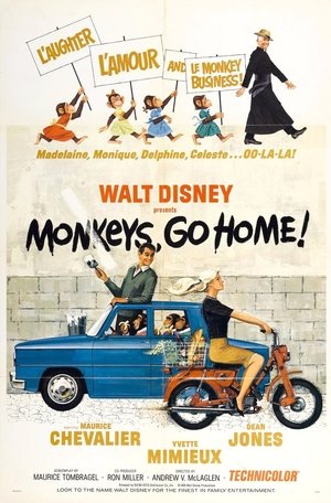 Monkeys, Go Home! poster