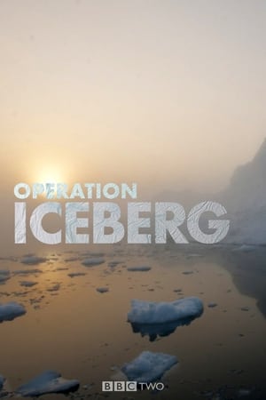 Image Operation Iceberg