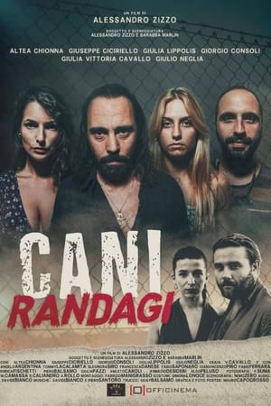 Poster Cani randagi (2023)