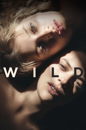 Poster Wild (2019)