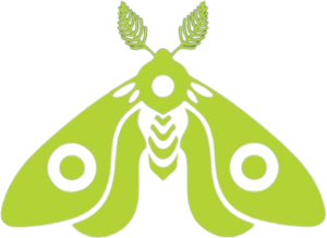 Better Off Dead — Logos 8