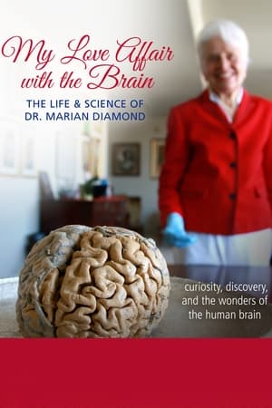 Poster My Love Affair with the Brain 2016