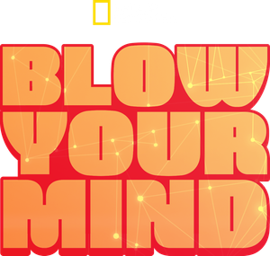 Blow Your Mind — Logos 1