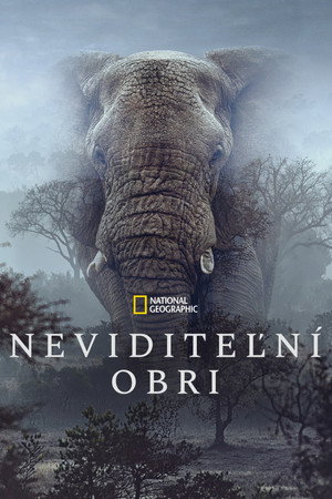 Ghost Elephants (2026)