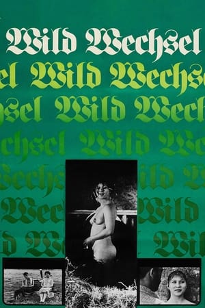 Poster Wildwechsel 1973