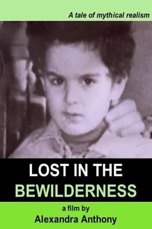 Lost in the Bewilderness film complet