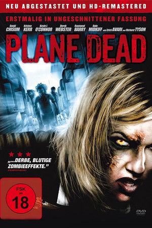 Image Plane Dead: Der Flug in den Tod