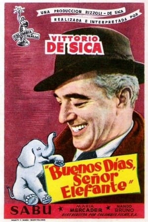 Poster Buongiorno, elefante! 1952