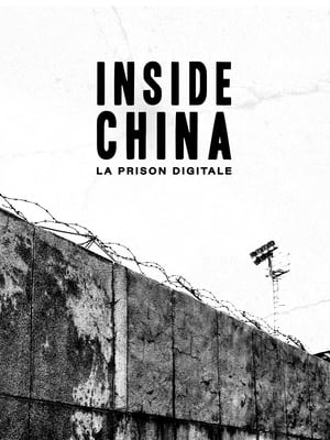 Image Undercover: Inside China's Digital Gulag