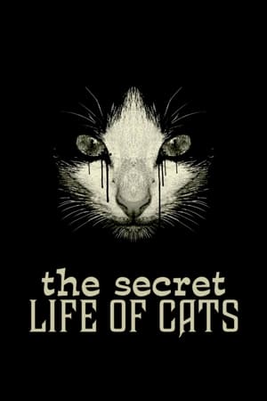 Image La vida secreta de los gatos