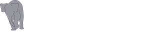 Logo Little Sky Film