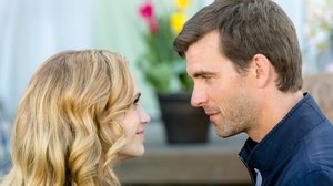 I tulipani dell’amore (2016)