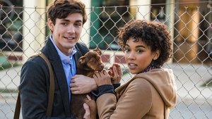 เพื่อนรักผจญภัยสี่ร้อยไมล์ 2019A Dog’s Way Home (2019)