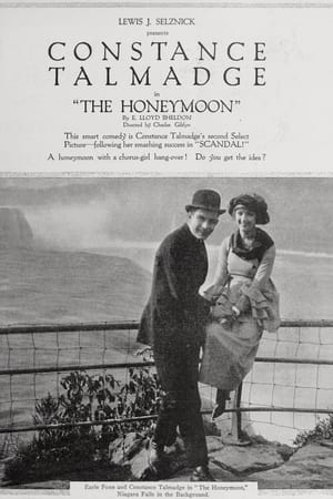Poster The Honeymoon (1917)