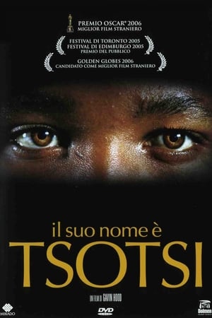 Poster Il suo nome è Tsotsi 2005