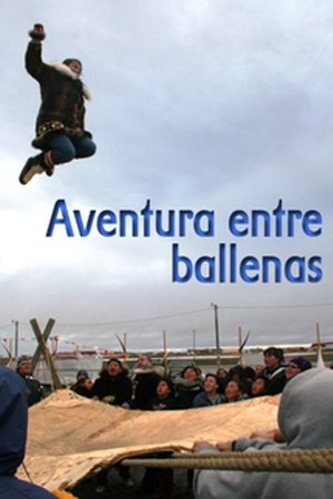 Aventura entre ballenas