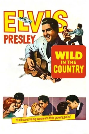 Wild in the Country 1961 1080p BRRip H264 AAC-RBG