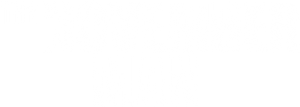 The November Man