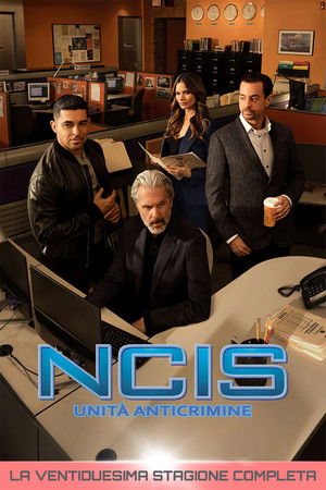 NCIS - Unità anticrimine: Stagione 22