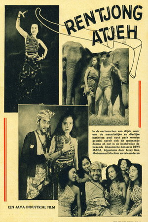 Aceh's Knife 3