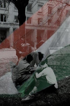 Hungary in Flames