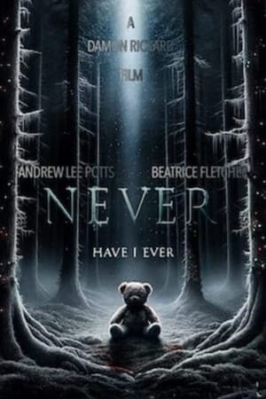 Poster Never Have I Ever ()