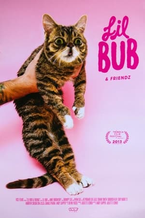 Poster Lil Bub & Friendz (2013)