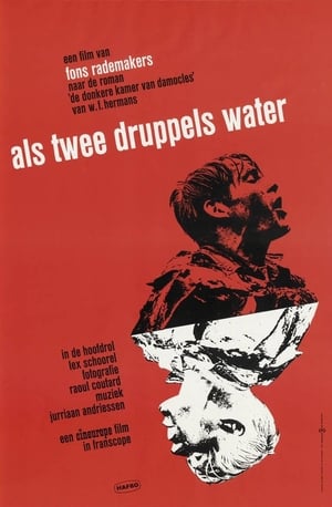 Poster Like Two Drops of Water (1963)