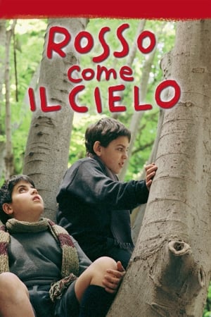 Rosso come il cielo 2006