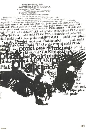 Poster Ptaki 1963