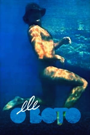 Poster The Dolphin (1987)