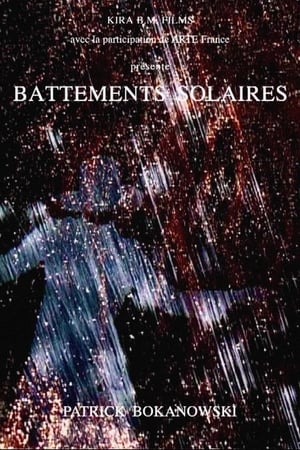 Poster Battements solaires 2008