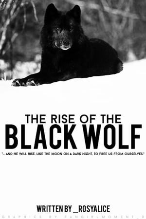 Poster The Rise of Black Wolf (2010)