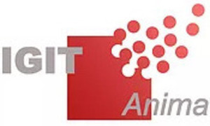 Logo Digit Anima