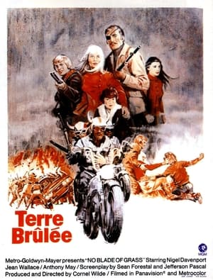 Poster Terre Brûlée 1970