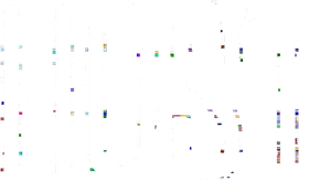 Host