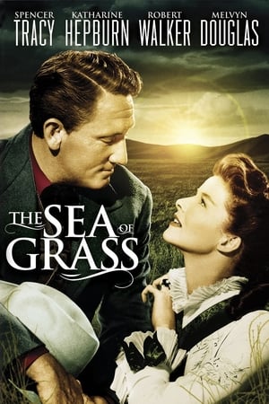 The Sea of Grass poster